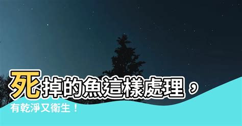 斑鳩死掉|斑鳩死掉怎麼處理？